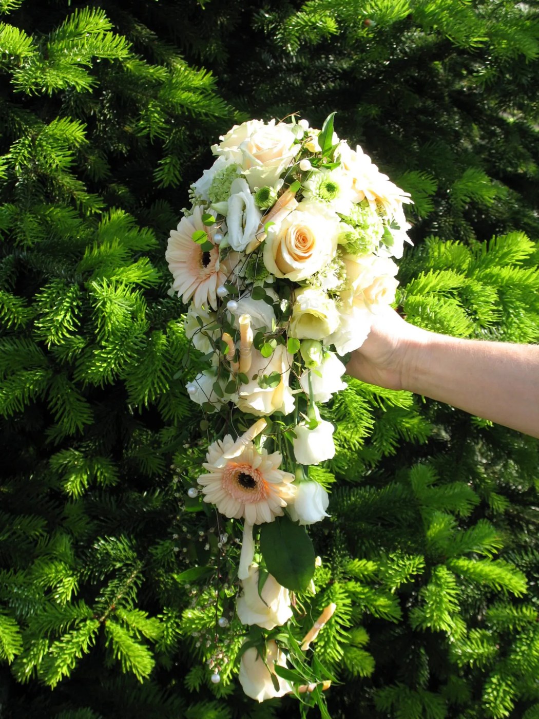 Wasserfall-Brautstrauß in Creme und Pfirsich mit Gerbera, Rosen und Perlen