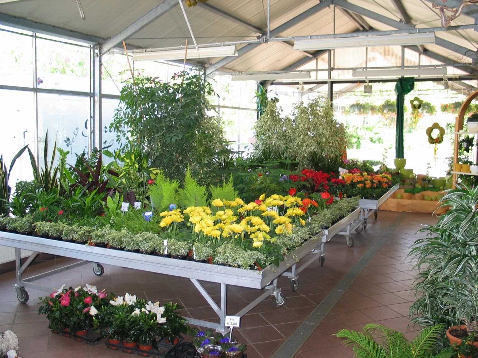 Verkaufsraum mit Grünpflanzen, Gerbera und Keramik